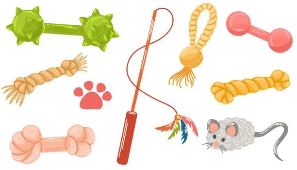 Pet Putotoy