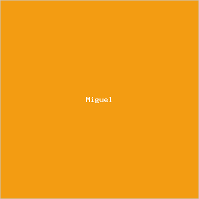 Miguel Lopez